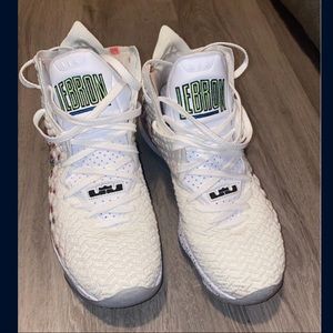 Lebron 17s